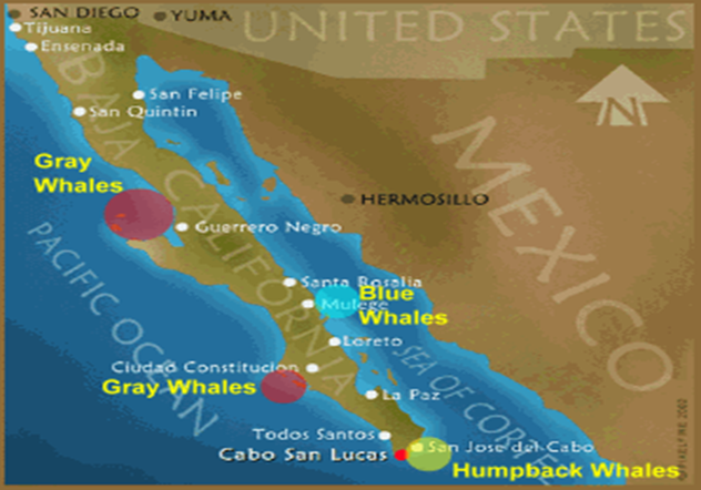 Descripcin: baja-california-3